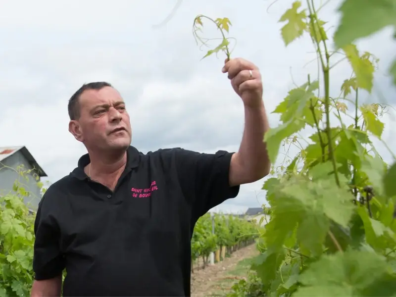 Visuels Touraine nature - Domaine de la Chopinière du Roy - Journée gourmande - Pâques à la ferme 2