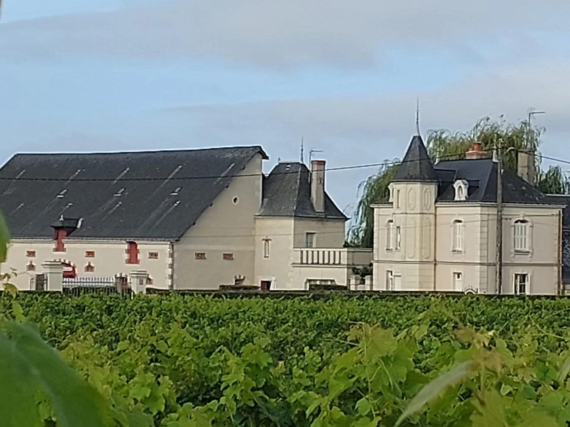 ottn-2025-PO domaine des mailloches - Restigne