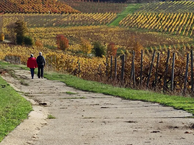 ottn-2025-trail&vin-coteaux-sur-loire