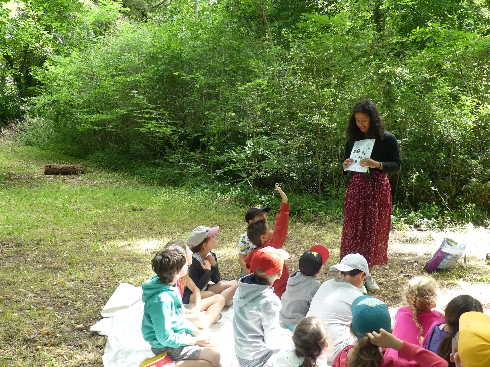 Atelier Petites Bêtes 2