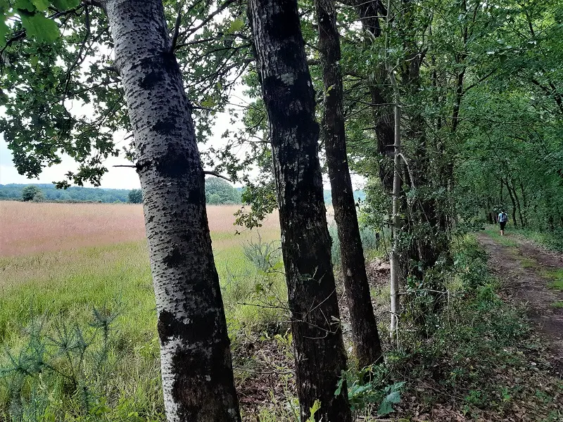 Randonnée Le Lys dans la Vallée