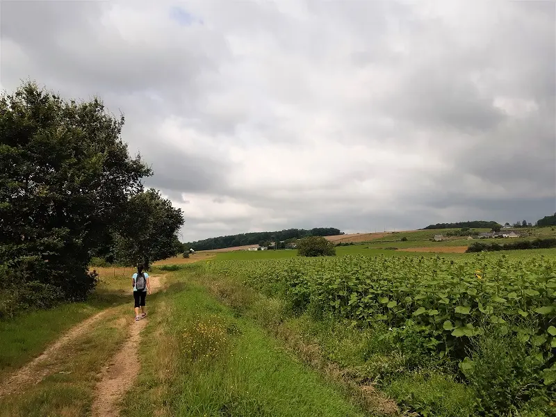 Randonnée Le Lys dans la Vallée