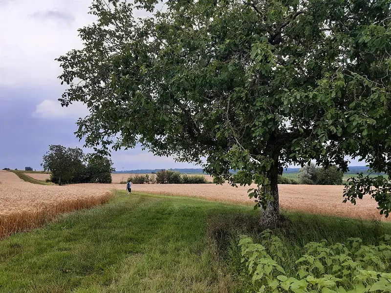 Randonnée Le Lys dans la Vallée - Le noyer de Balzac