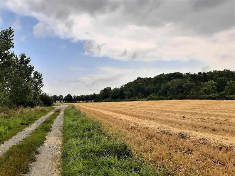 Randonnée Le Lys dans la Vallée