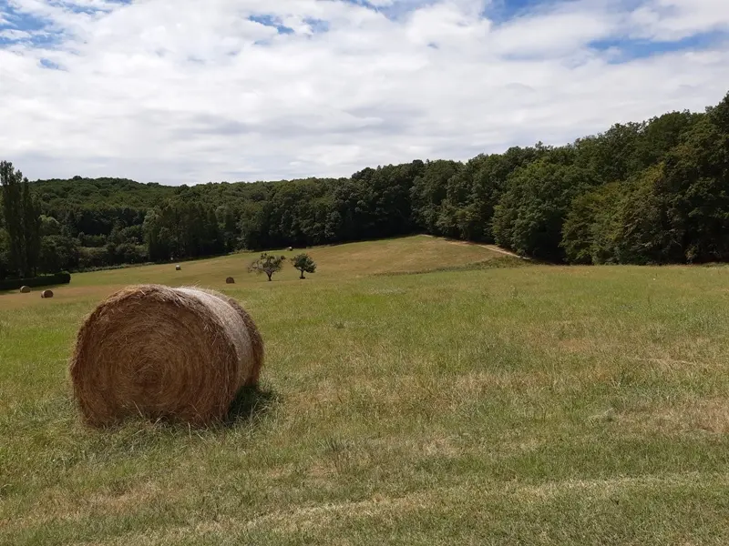 Vallée de la Ramberge - Randonnée de Saint-Ouen-les-Vignes