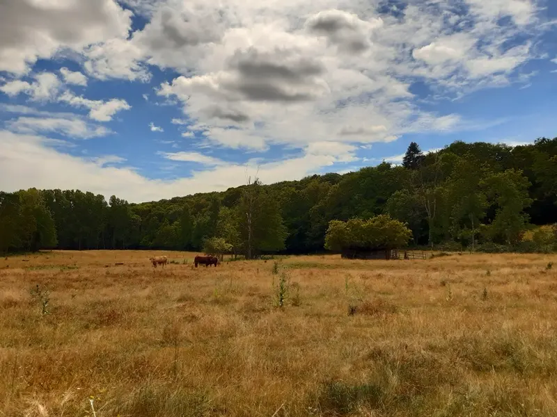 Randonnée de Saint-Ouen-les-Vignes