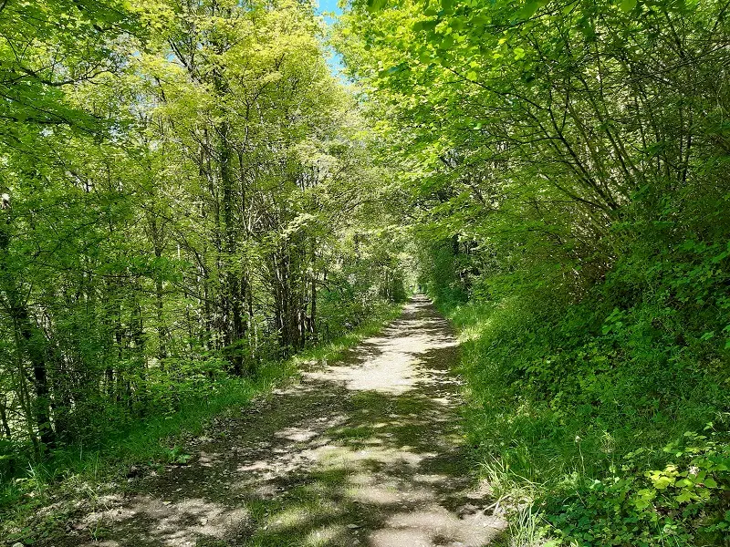 Randonnée Le chemin des Moulins - Tauxigny-Saint-Bauld