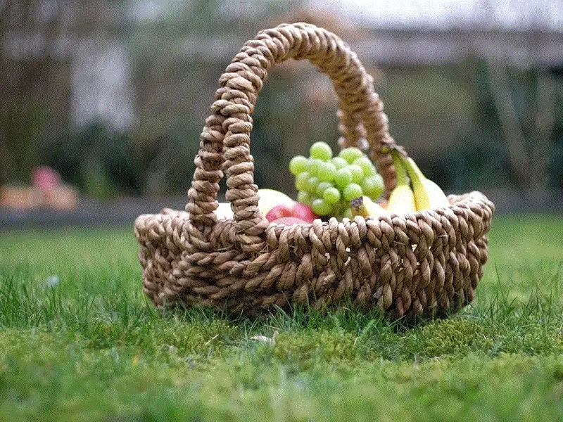 repas-champetre-loches-valdeloire