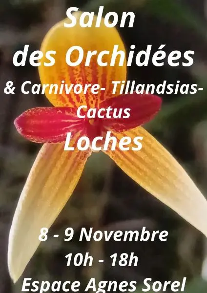 salondelorchidee-loches-perrin-2