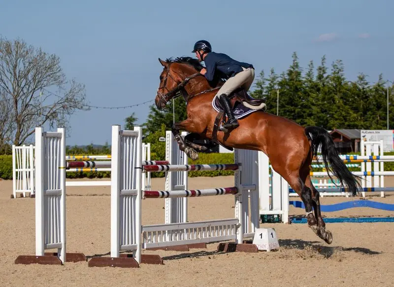 saut-obstacle-cheval-loches-valdeloire