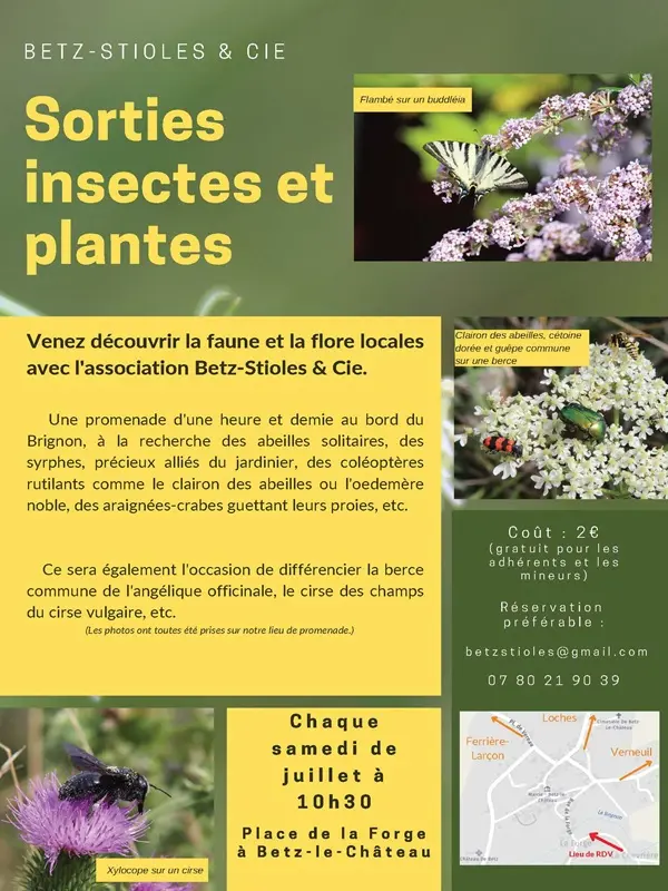 sortieinsectesetplantes-betzlechateau-valdeloire