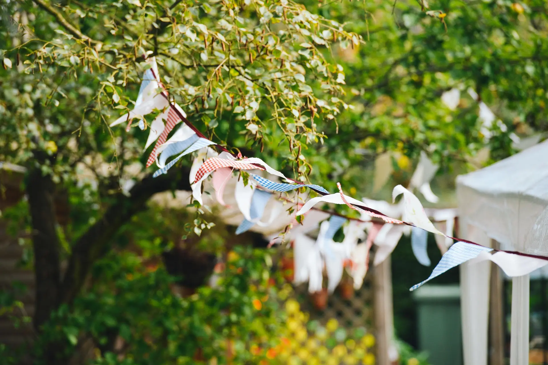 Cultures au jardin