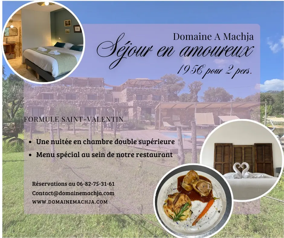 DOMAINE A MACHJA