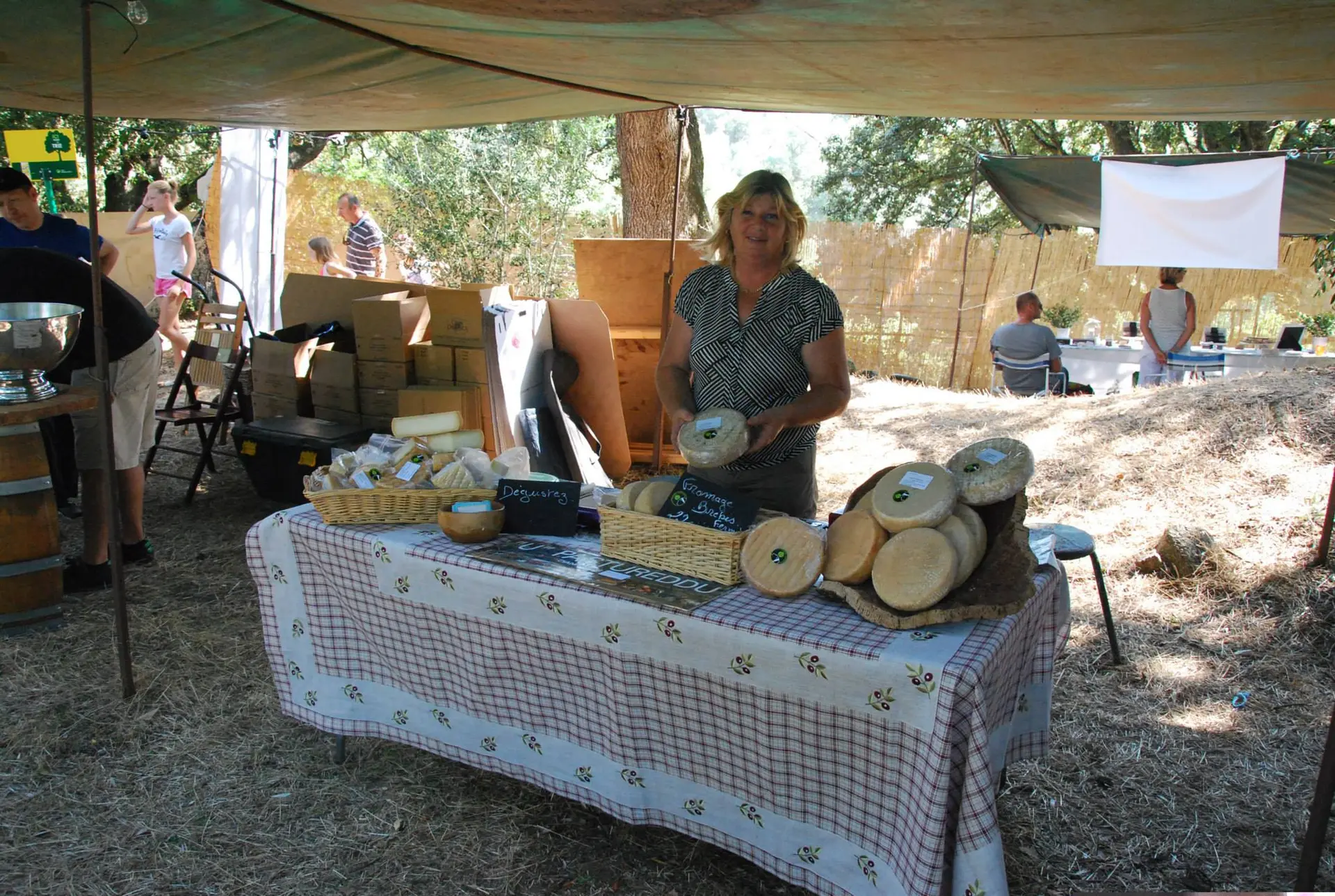 FOIRE DE FILITOSA