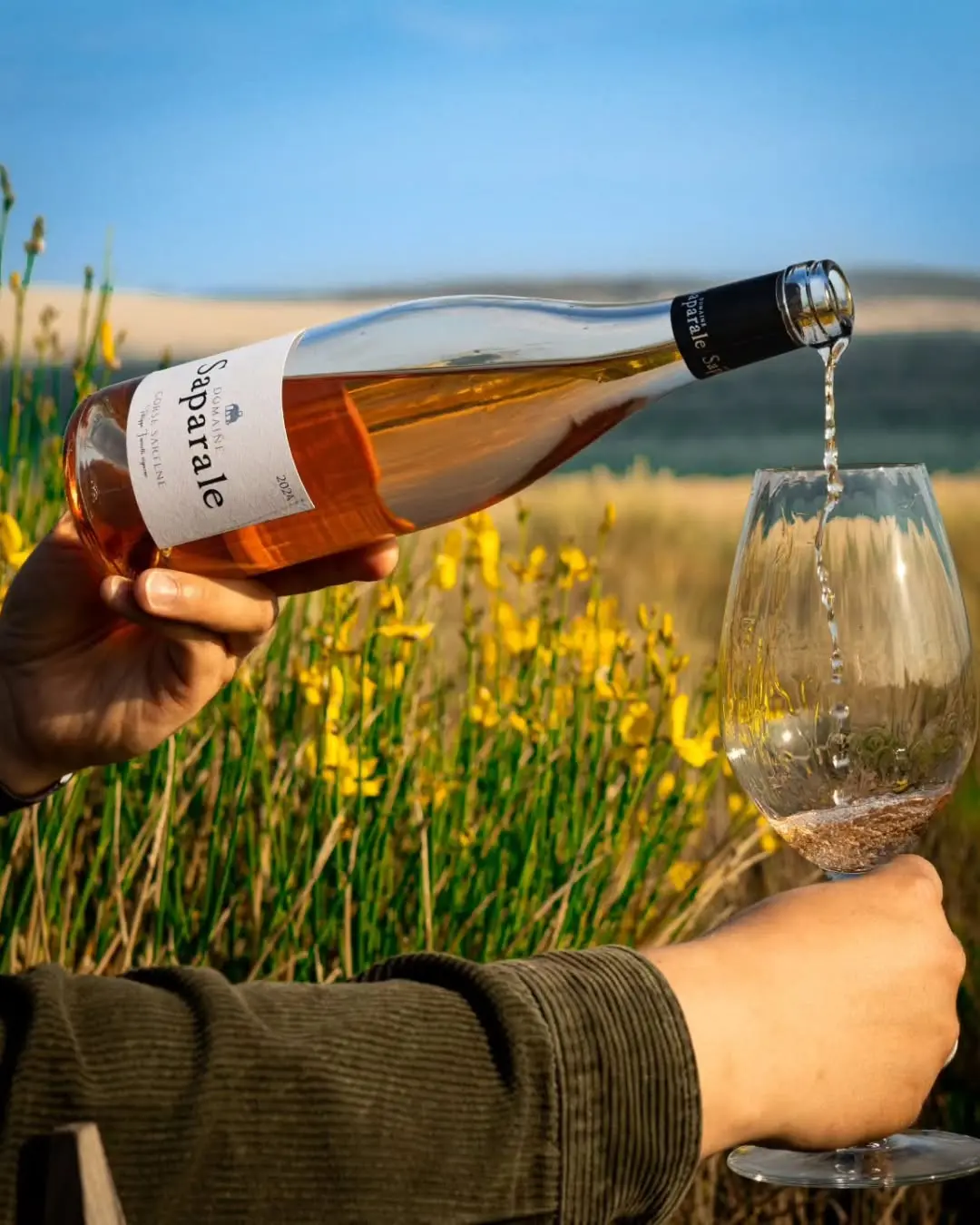 DOMAINE SAPARALE