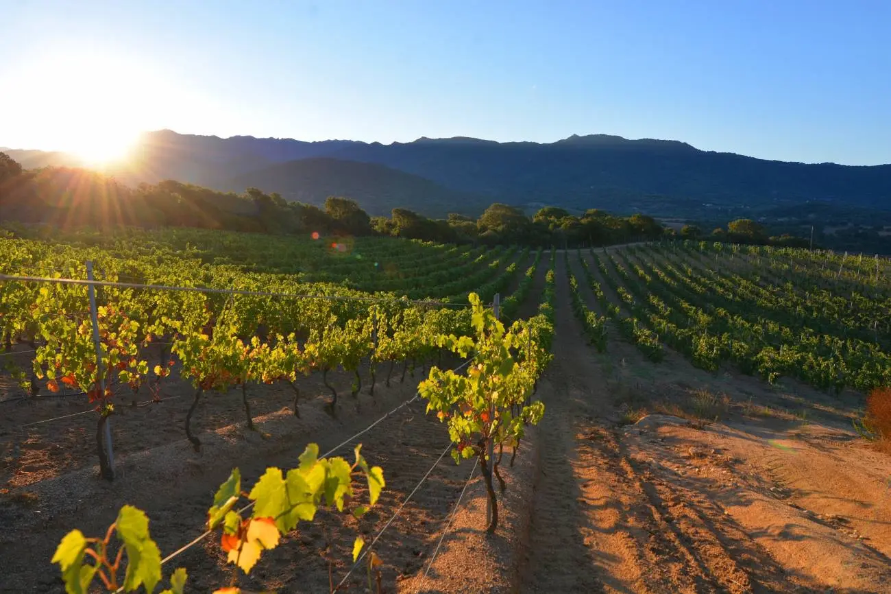 DOMAINE PRATAVONE