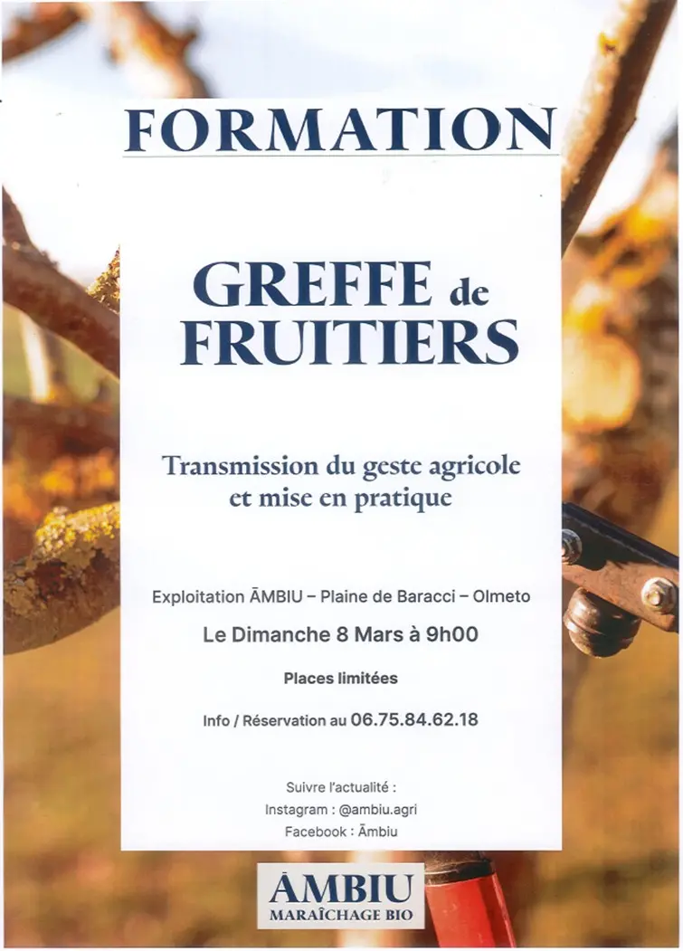 Formation greffe fruitiers