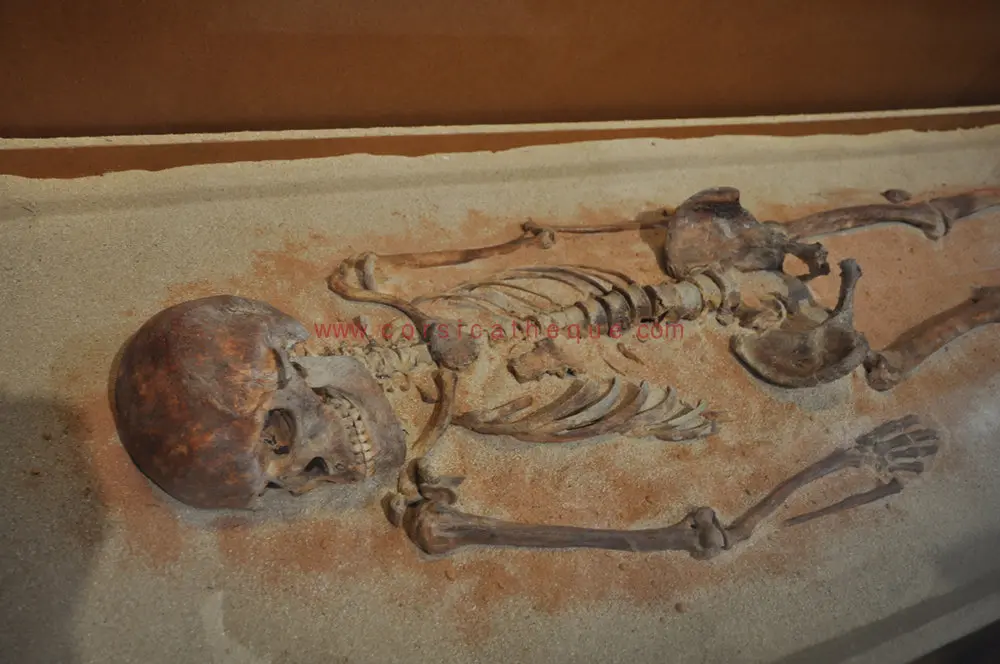 Exposition : Journées Européennes du Patrimoine