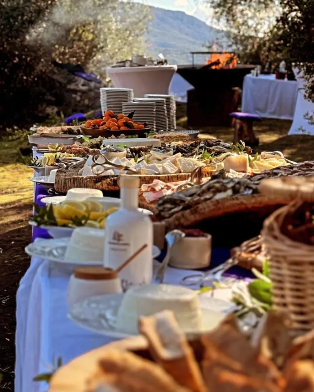 Merendella au Domaine de Murtoli