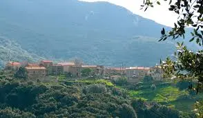 GRANACE