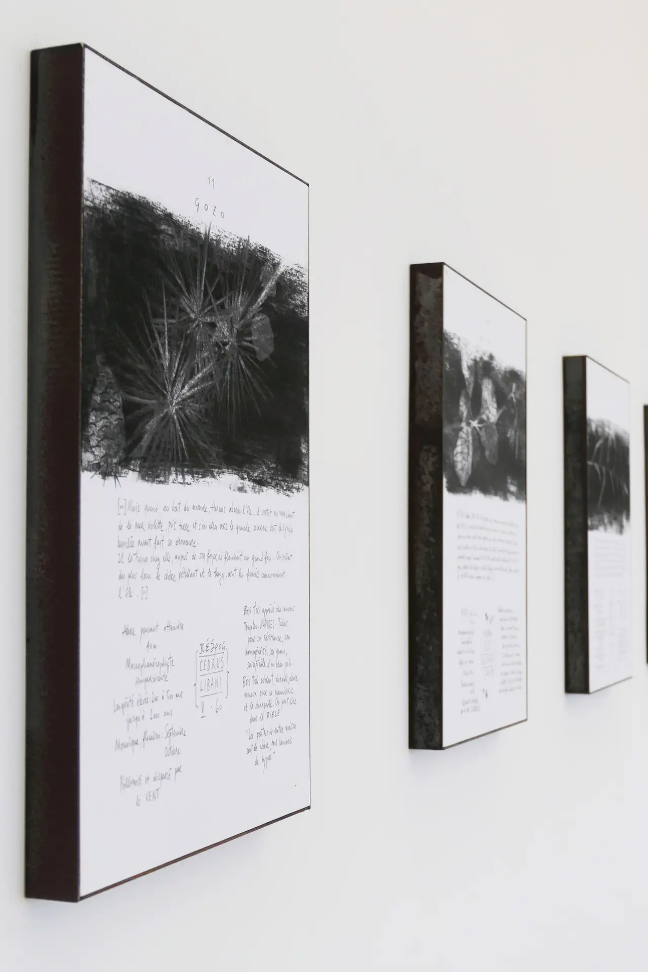 Vernissage Exposition Mission Odyssea