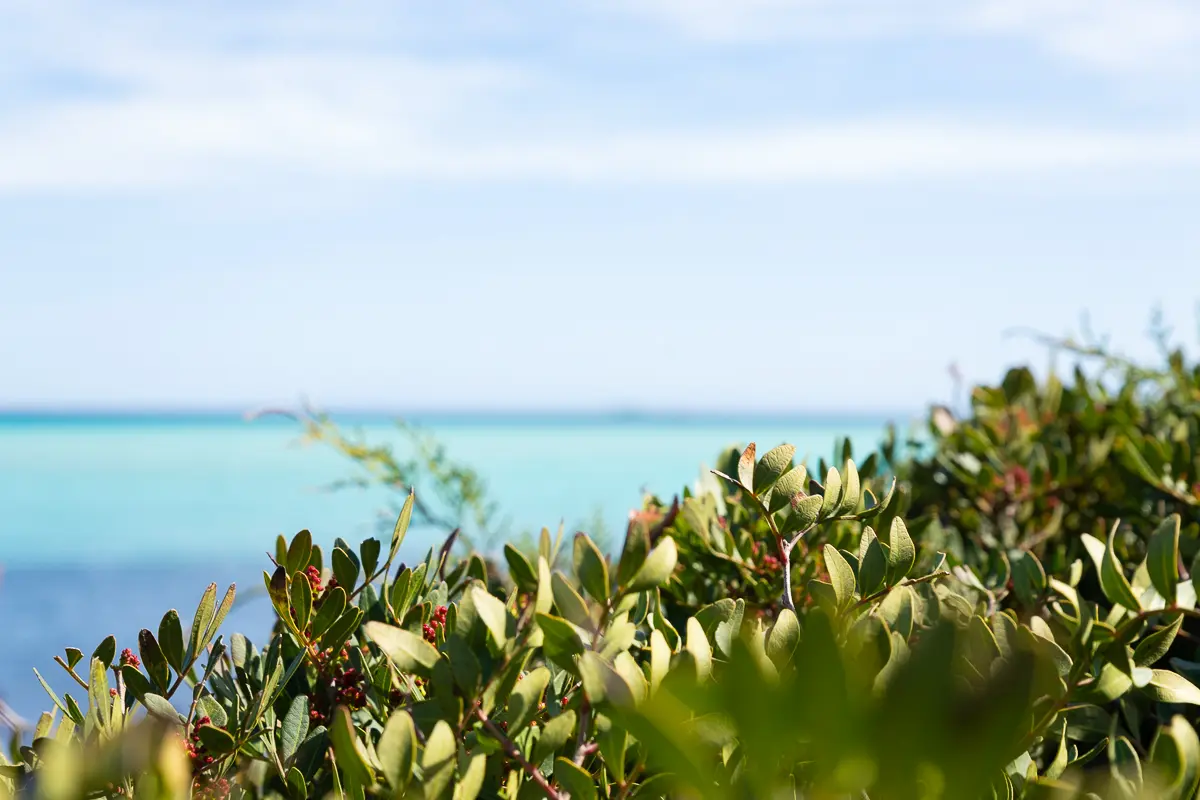 A Viranata : 4ème week-end de la biodiversité