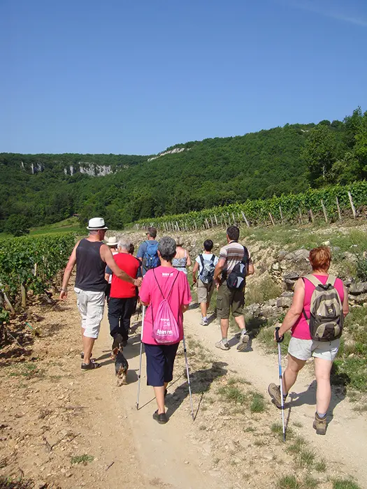 Balade des Grands Crus