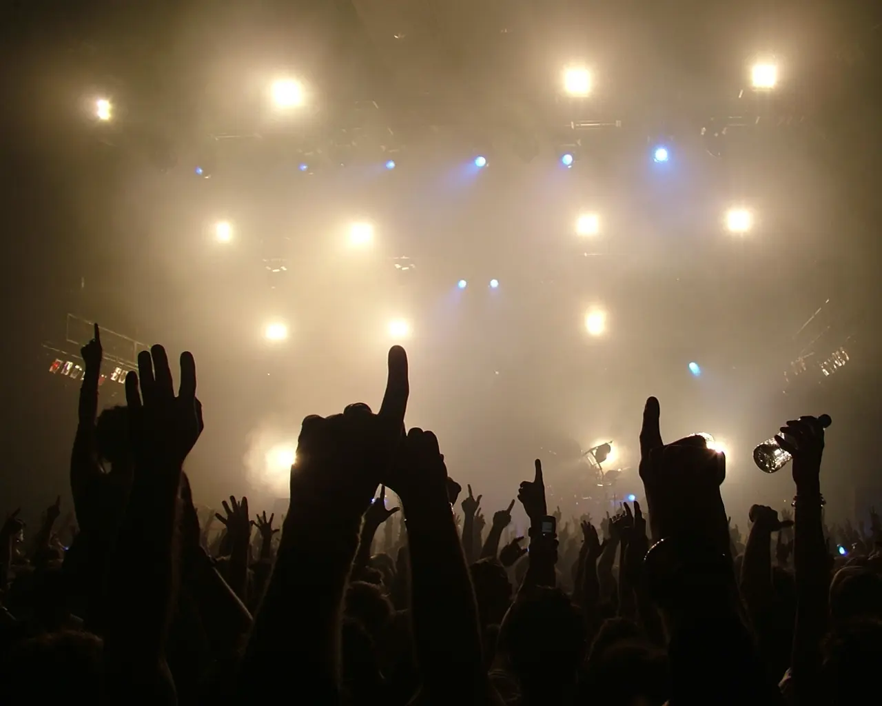 _concert