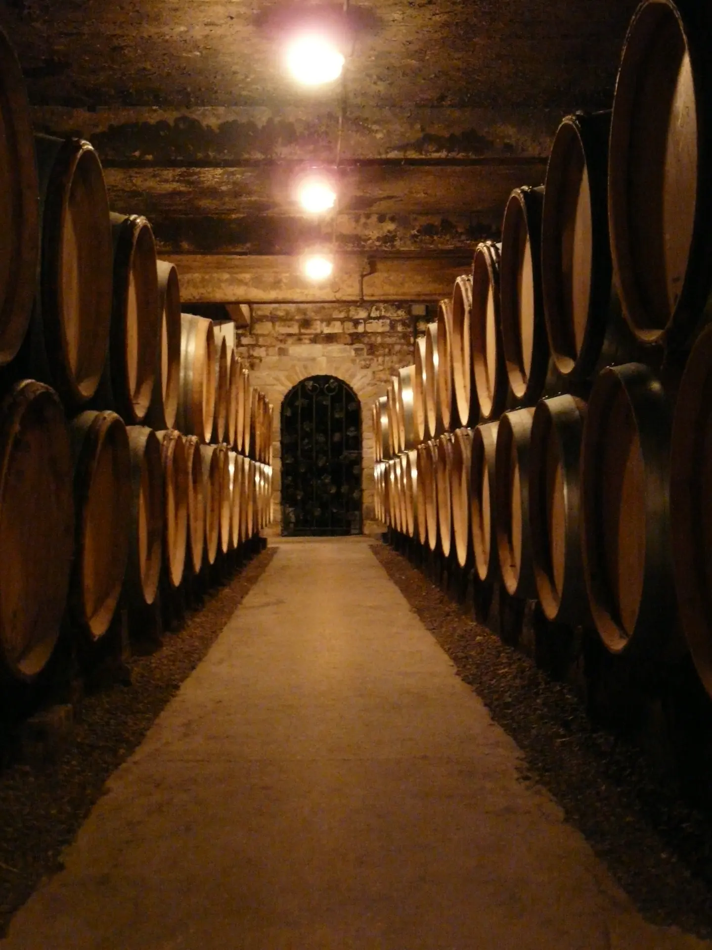 Allée de tonneaux Cave Rion