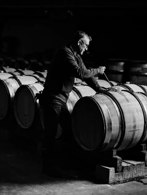 Domaine Chanson - Caves
