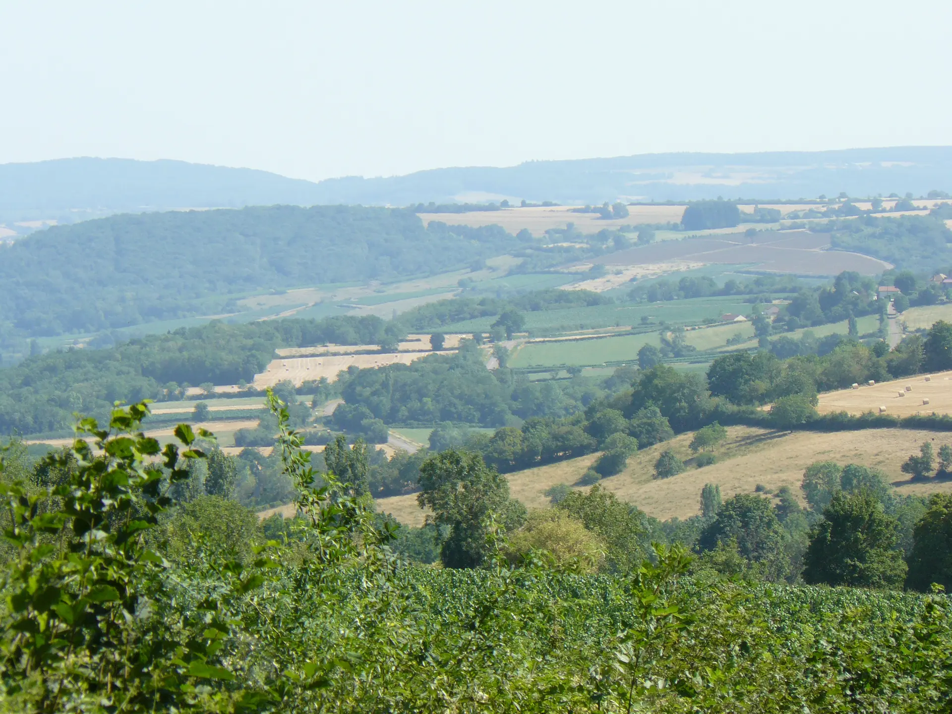 Paysage, route Cirey
