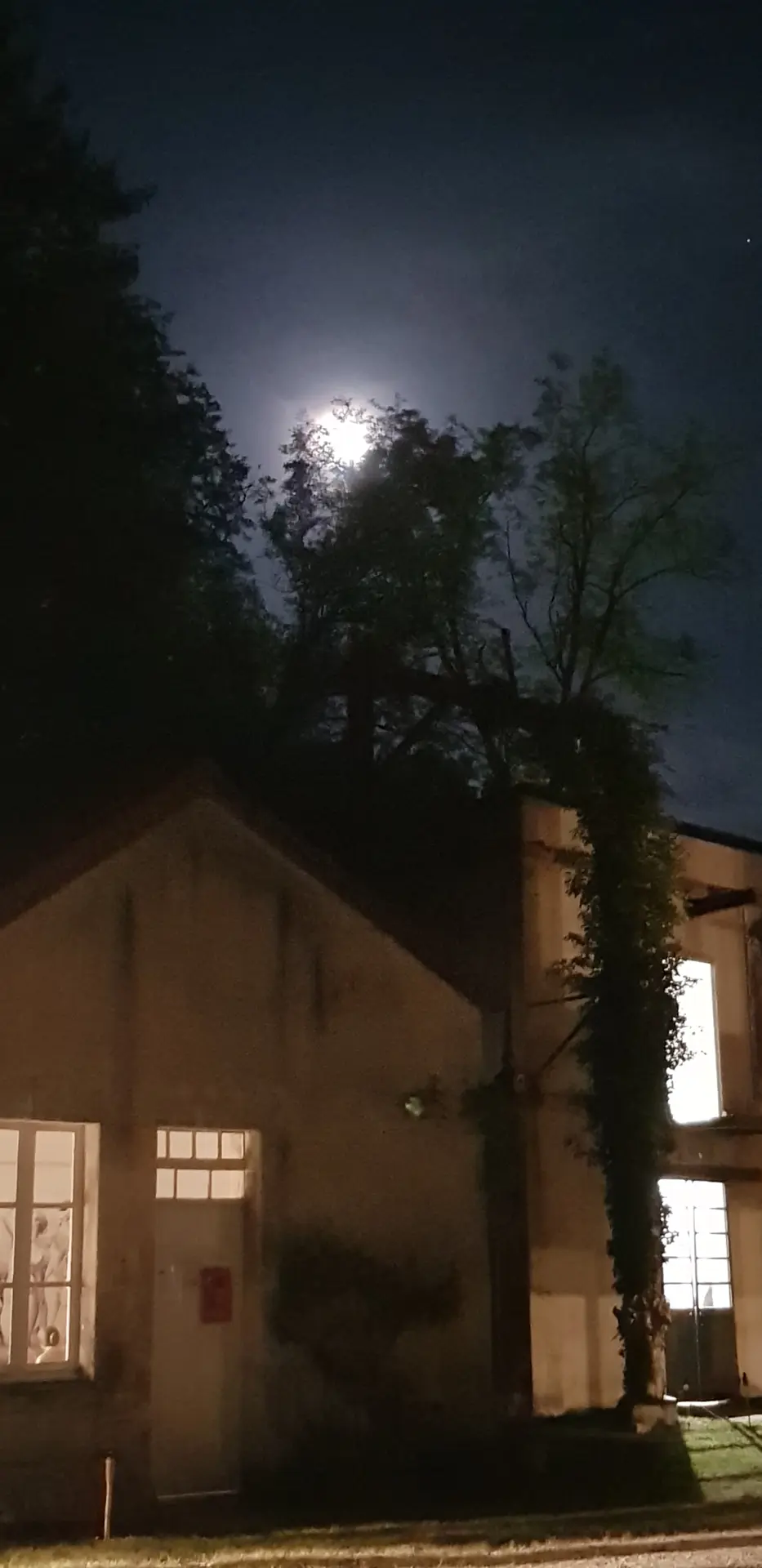 Nuit des Musées