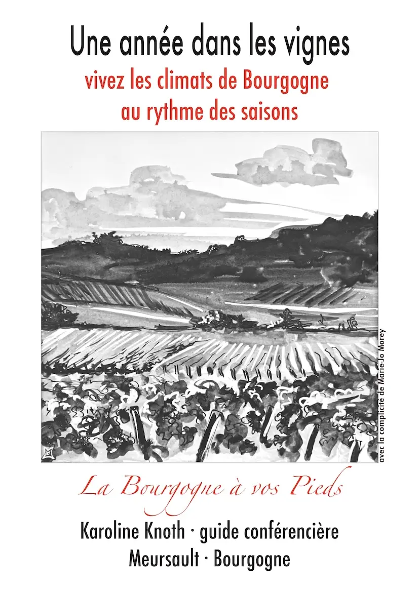 2025 carte climats-verso-Seite001 - mini