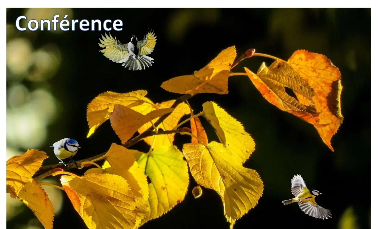 conférence 2026-03-12