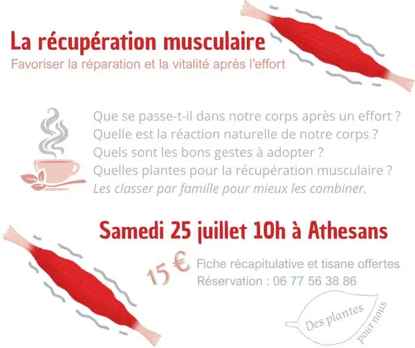25 juillet recupération musculaire des plantes pour nous