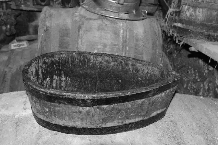 histoire de sapine et de dégustation