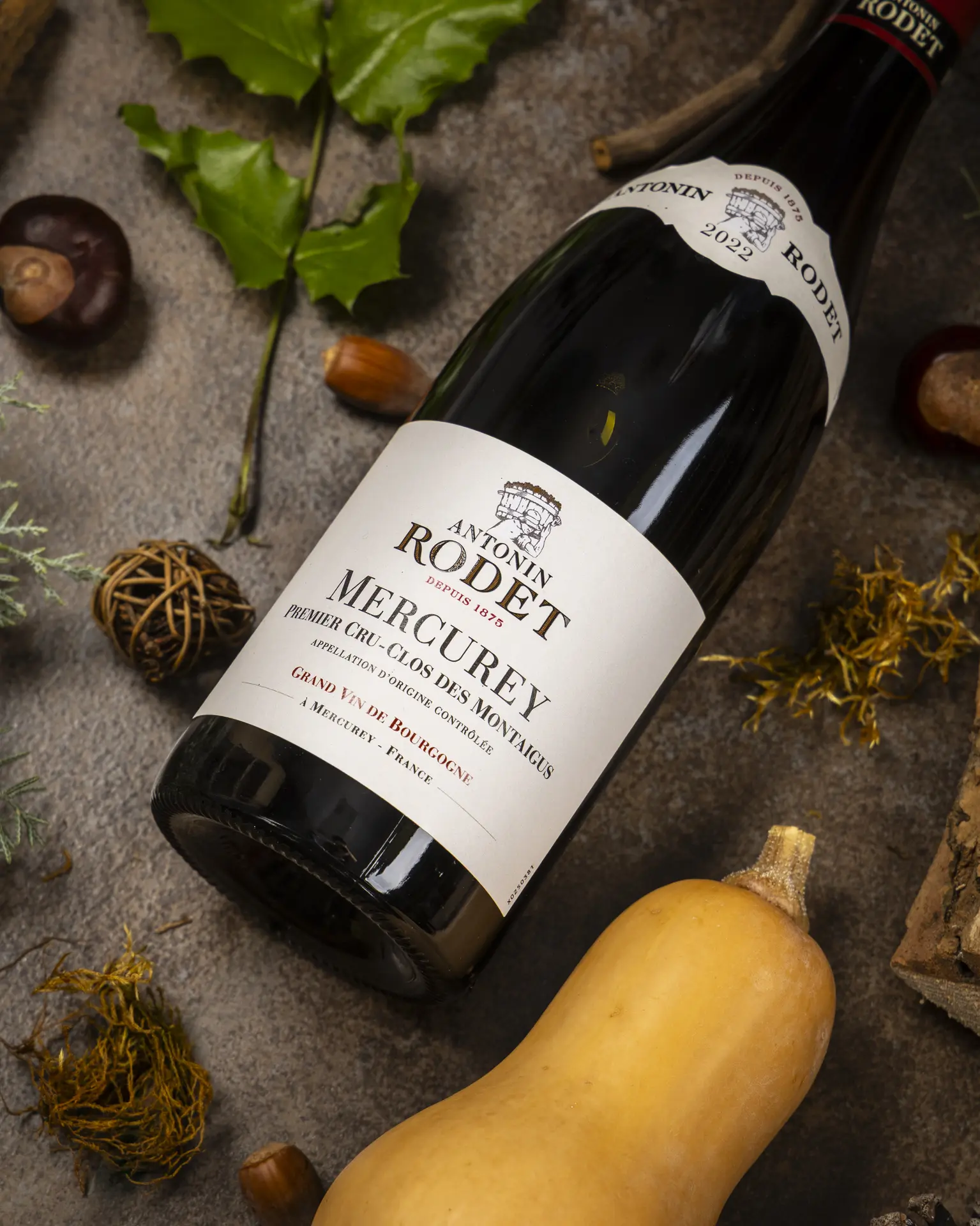 251002_BTL_AUTOMNE_©_ANTONIN_RODET_002