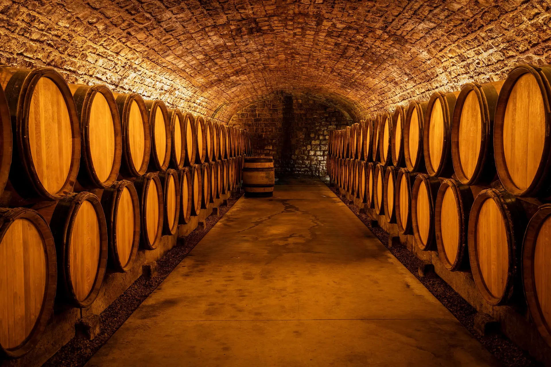 260209_CAVE_PARCOURS_LGCDV_©_LA_GRANDE_CAVE_DE_VOUGEOT_001