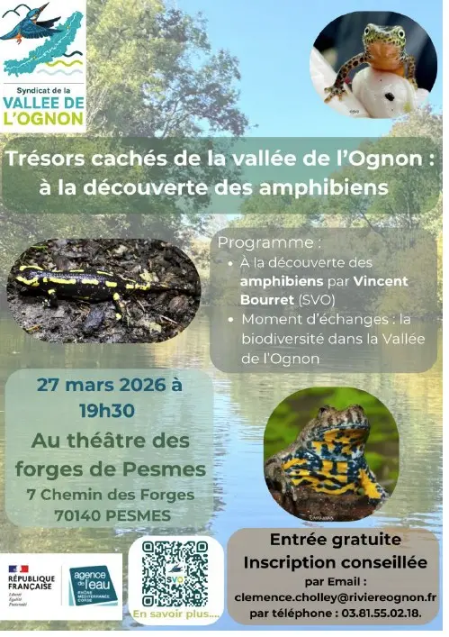 À la découverte des amphibiens