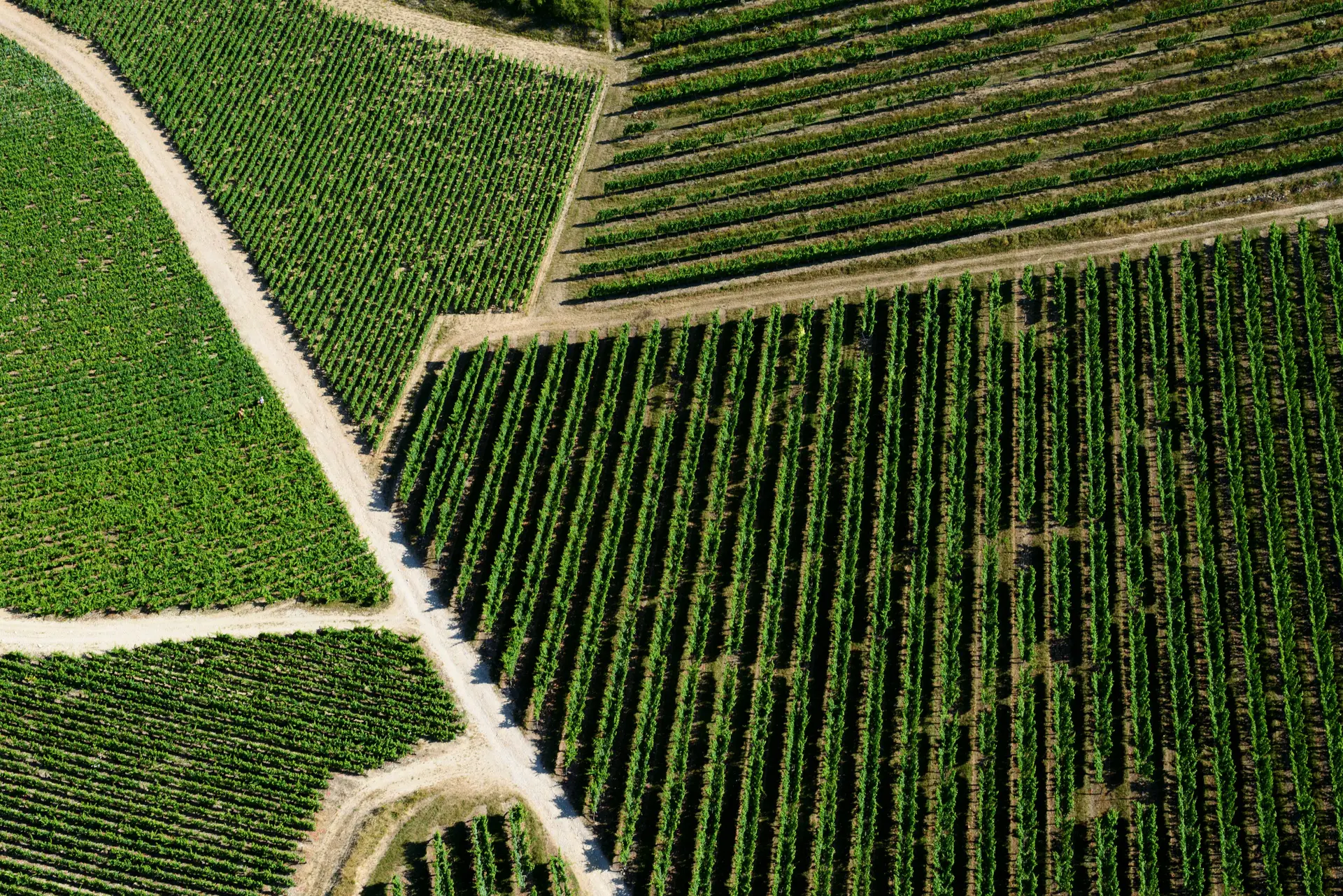 3 Cote de Beaune Aérien