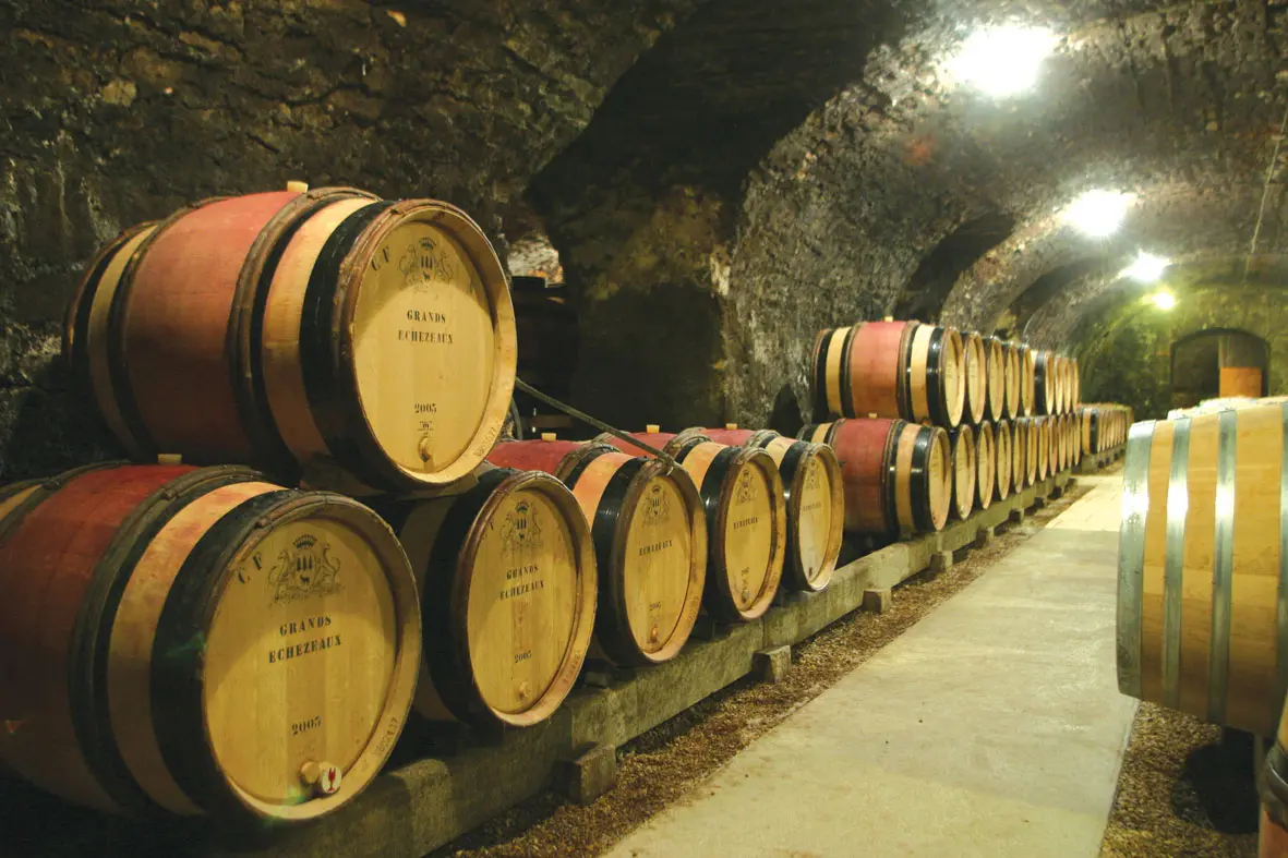 caves voutées 1880