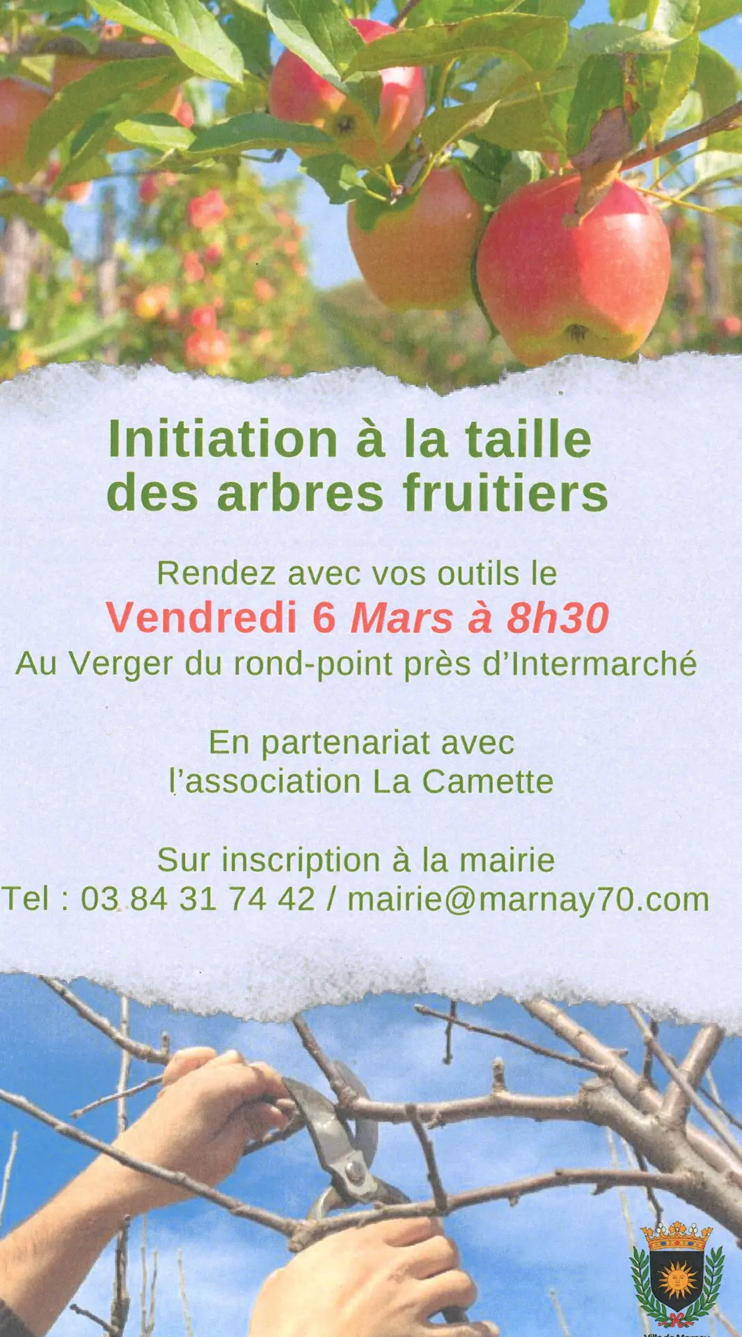 Taille des fruitiers - Mairie de Marnay