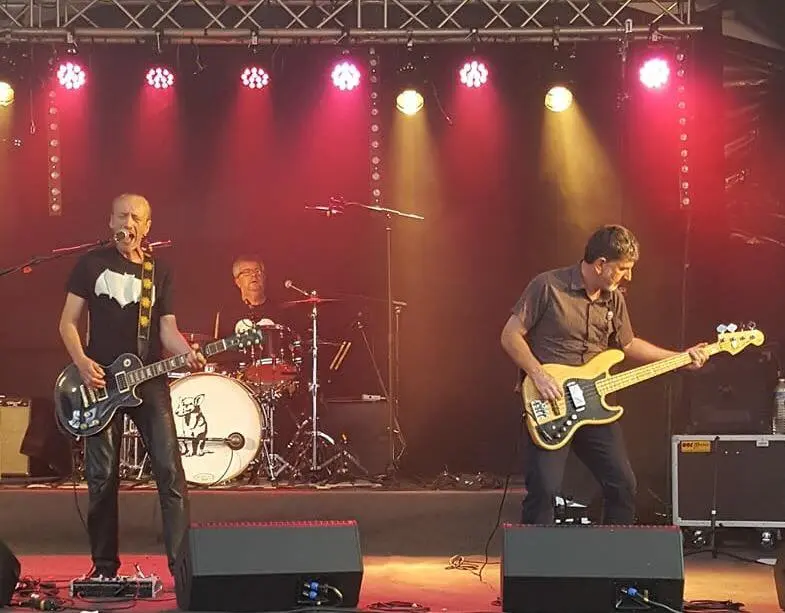 L'oreille du chien groupe