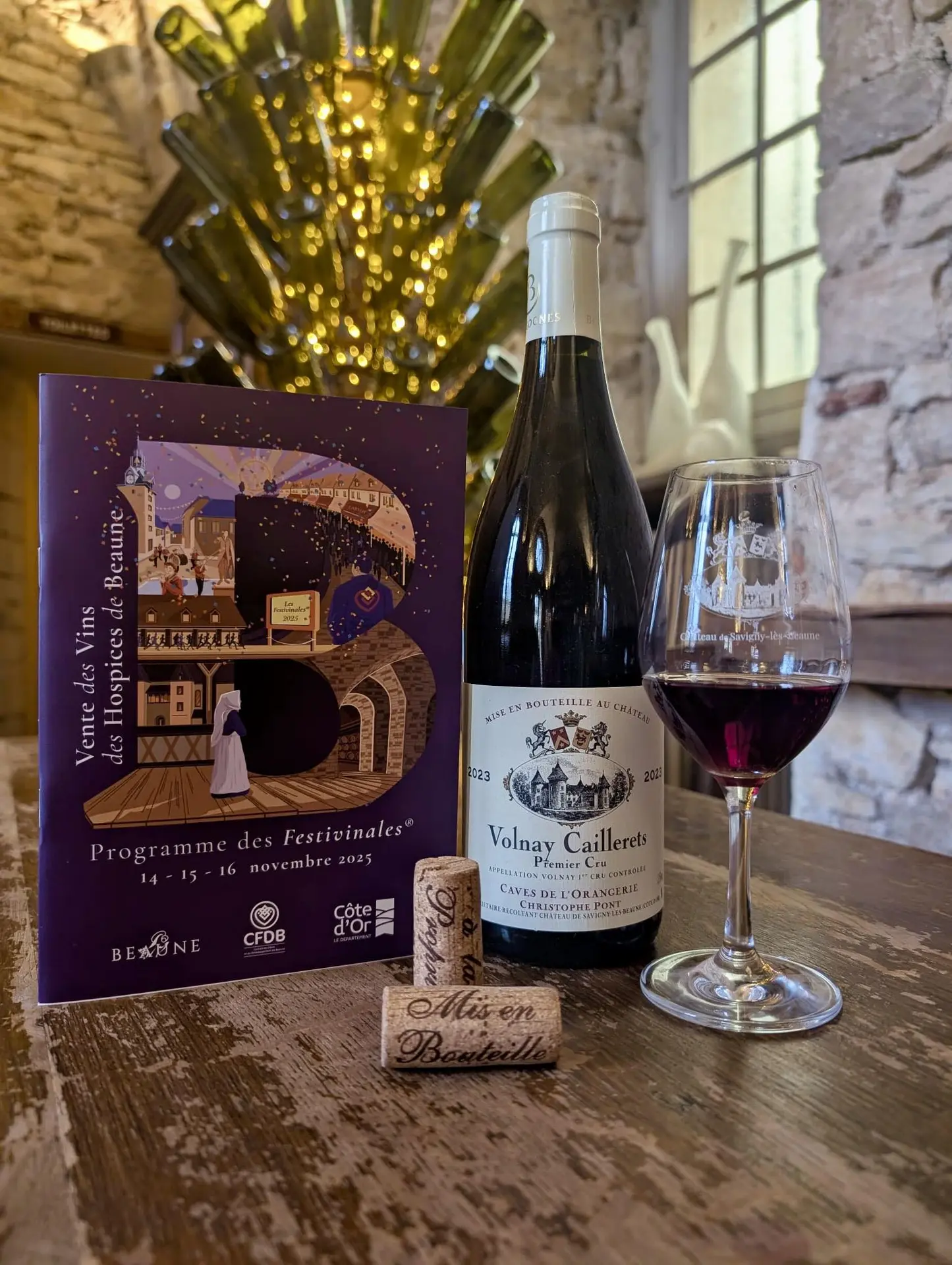 581153738_1259481796216081_4841689037774041997_n