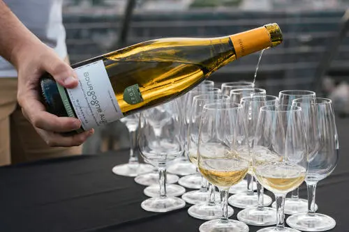 66a2dc4b0000000000000000_MEDIUM