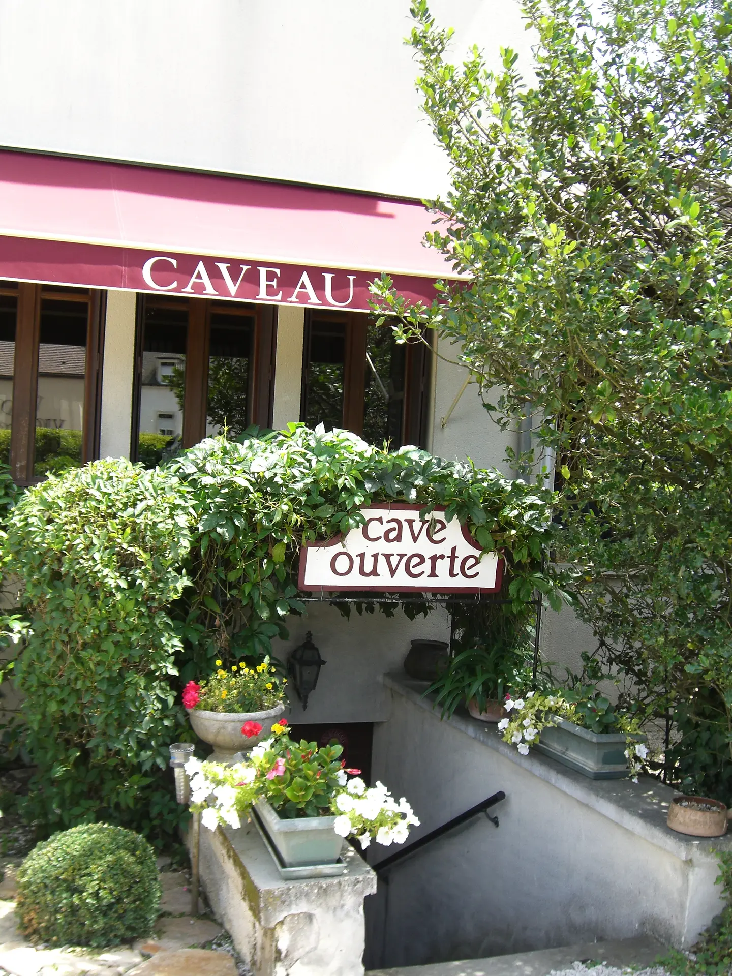 entrée cave Rion