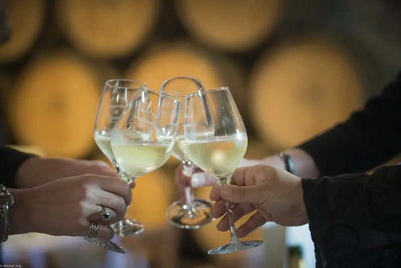 800x600_paulee-de-meursault-2012-2-2482090