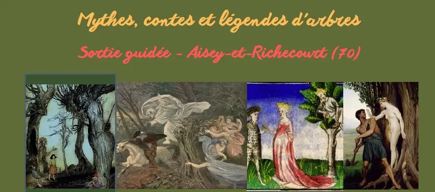 Sortie nature Aisey et Richecourt