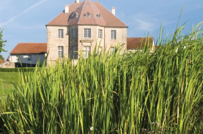 Capture d'écran 2025-06-18 144710