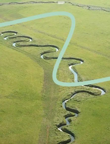 Reconquête du milieu aquatique
